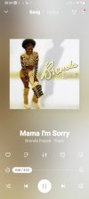 Screenshot_20240914-202429_Music Player.jpg