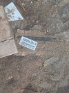 20240914_174545.jpg