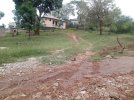 IMG-20240917-WA0021.jpg