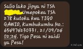 Screenshot_20240922-180424_Messages.jpg