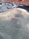IMG_20240922_170111.jpg