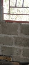 IMG_20241014_101955_097.jpg