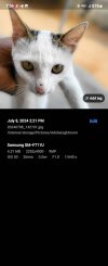 Screenshot_20241014_195630_Gallery.jpg