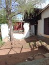IMG_20241015_090424_703.jpg