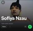 Screenshot_20241027-182138_Spotify.jpg