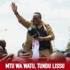 LISSU5.jpg