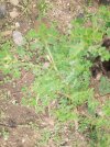 IMG_20221115_144813_307.jpg