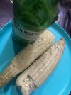 IMG_1869.jpeg