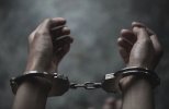arreste.jpg