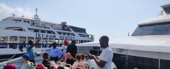IMG_20250131_155036662_AE.jpg