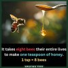FB_IMG_1740926545822.jpg