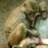 Kisali.TechnitianJr.