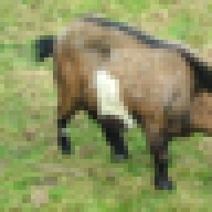 kimochambuzi