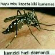 surubu kwetu