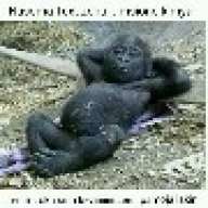 oct_nnunduma