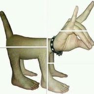 bruce_lee