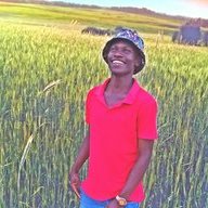 bashiru moustepher