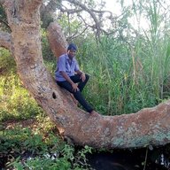 Jackson Bwire goodness