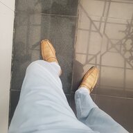 shayani