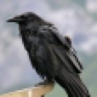 Raven95