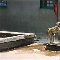 Zee la shamba