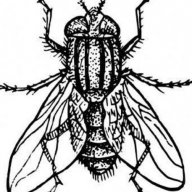 Shija dotto