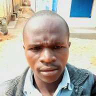 kibonadavid