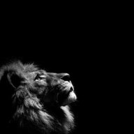 Aslan 7