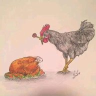 Nikifa MkeWangu Asiolewe