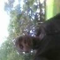 mkubwawakaya