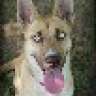 omary_ally