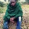 mchollo 2