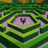 the maze