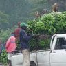MR CHAGGA