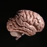 Mindset Maven
