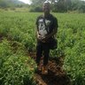 Kibag