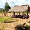 Njamayao