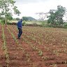 Nyangwe2904