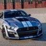 Ford Mastung