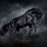 DarkHorseSec
