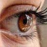 the_eye