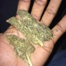 BULLY MSERA MAVI