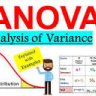 Mr Anova