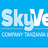 SkyVee Company