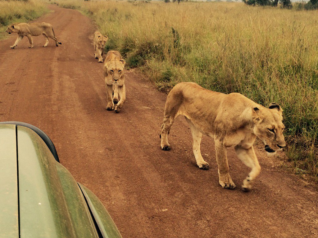 CawA56-XEAATyv_.jpg:large