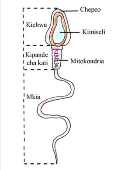 1708342803387-png.2909022