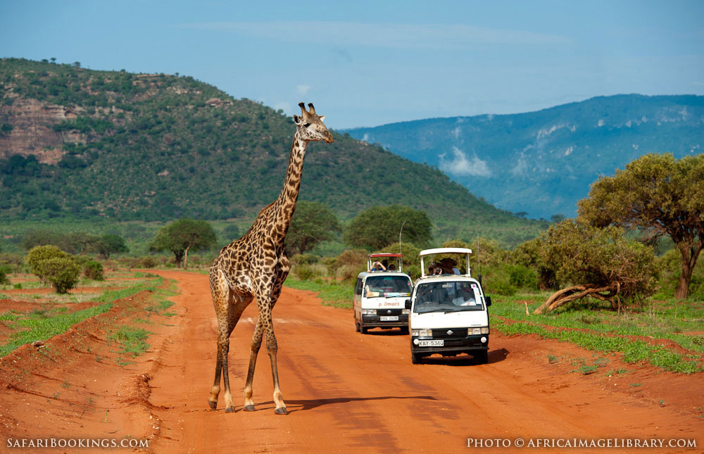 Tsavo_East_National_Park_015.jpg
