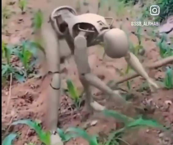 1721684457758-png.3049569