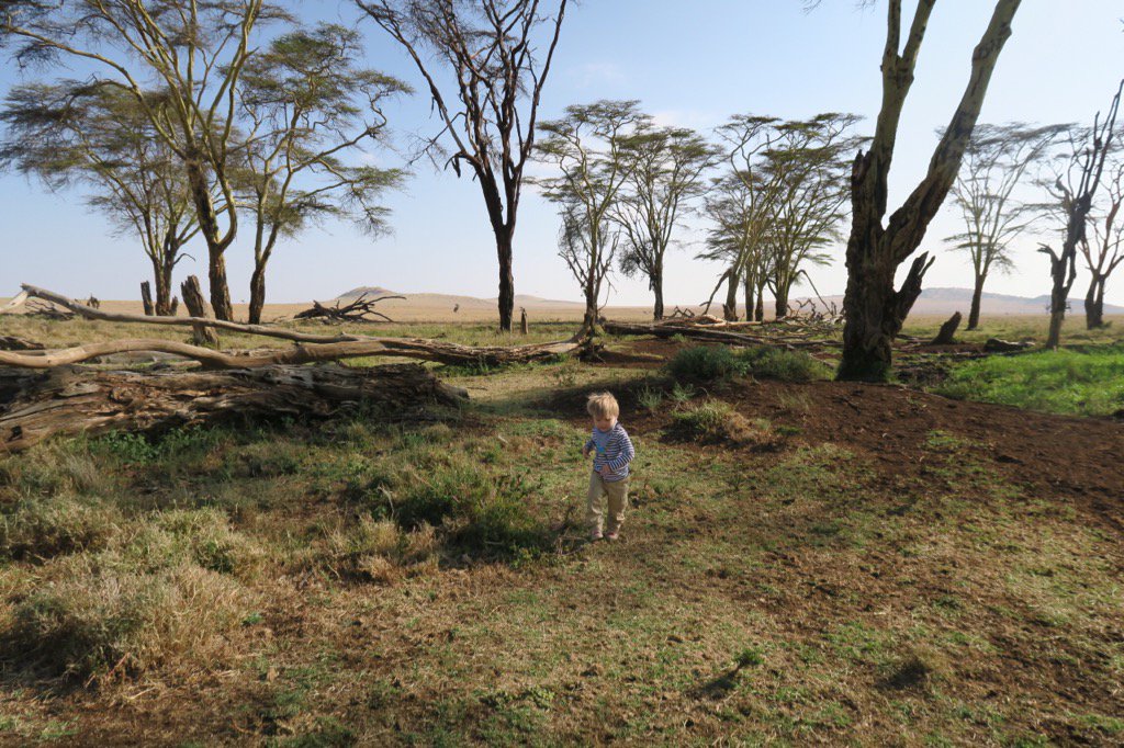 CedveXSXEAAI6cH.jpg:large