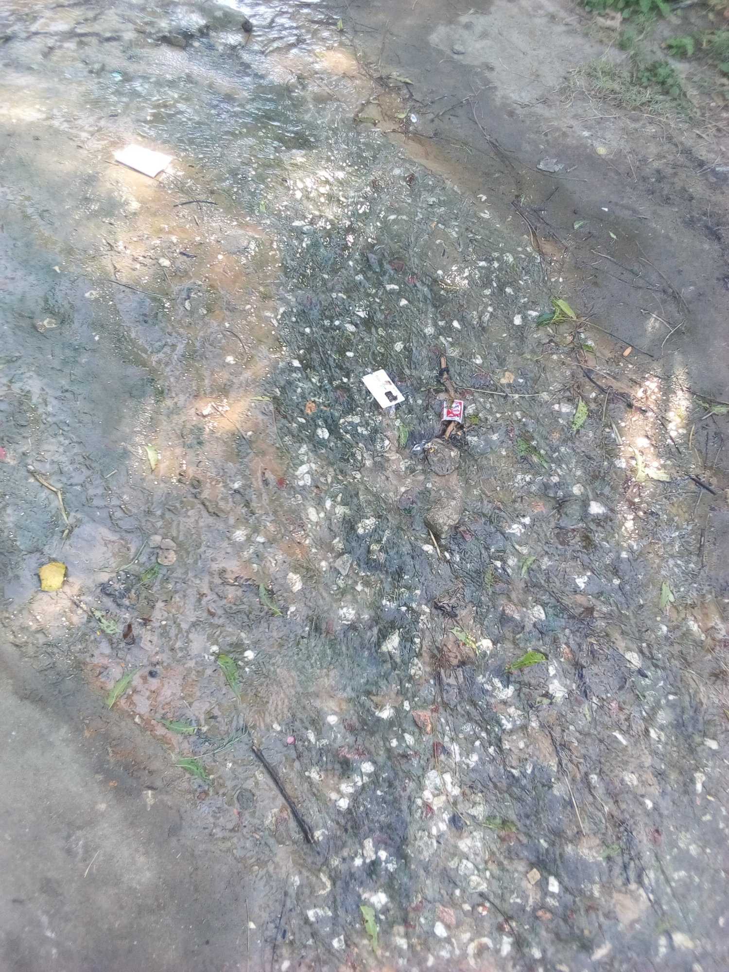 img_20180718_104235-jpg.812330